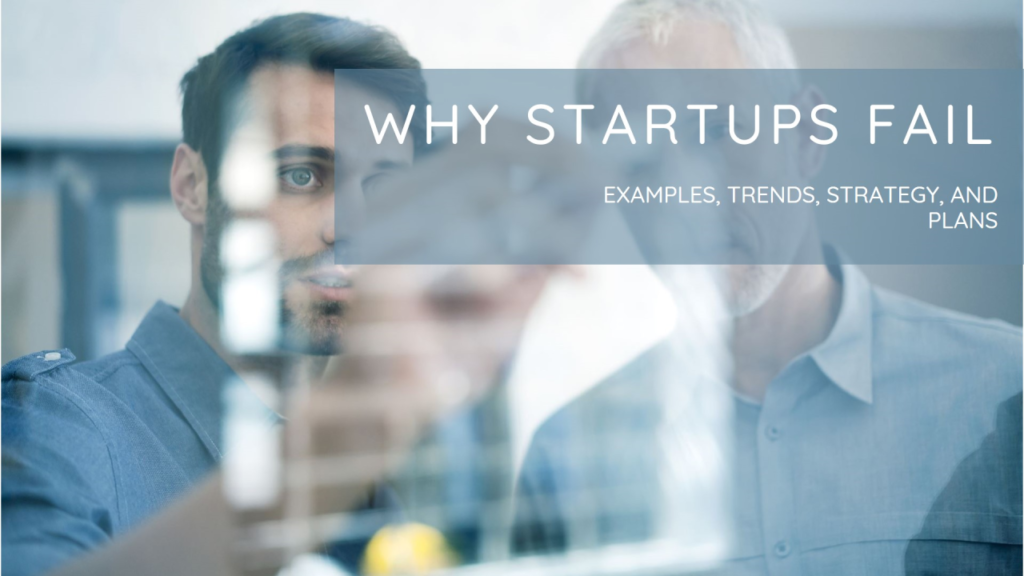 Startup Failure Case Study: What Went Wrong