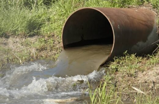 Better Water, Closer to Home: Finding the Right Water Treatment Support in Florida