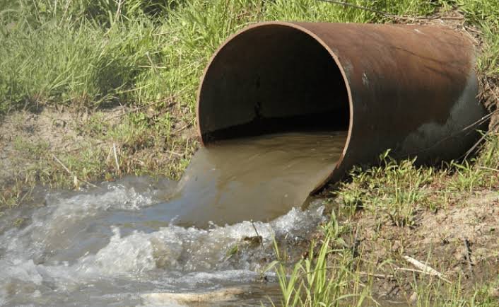 Better Water, Closer to Home: Finding the Right Water Treatment Support in Florida